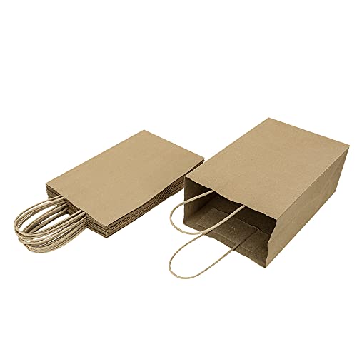 Oikss 100 Pack Kraft Paper Bags