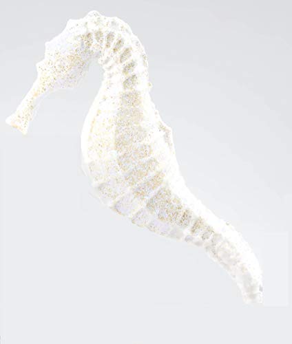 image for Rainbow Glitter Dust, 5 gram container Cake Decorating Glitter Dust fo