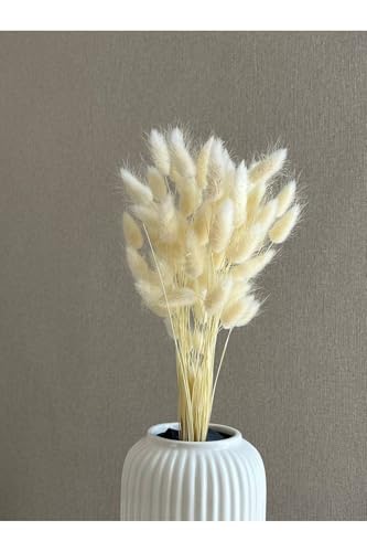 Ramo de Flores de Algodón Secas para Decoración Rústica 12-18 pulgadas miniatura 5