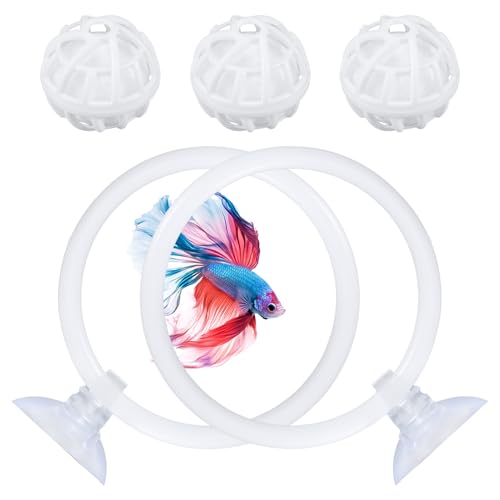 2 x^tBbVGNTTCYOƃtB^[{[ZbgAtBbVg[jO[vAz2&tB^[{[3t ق ނ^NANZT[ ނ舤DƂւ̃Mtg