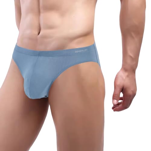 ZAIGGUT Mens Pouch Underwear Briefs Athletic Briefs for Men Grayish Blue L