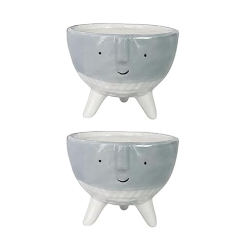 KIKAPA Maceta para plantas suculentas perfecta para plantas de interior y exterior, paquete de 2, macetas para plantas suculentas