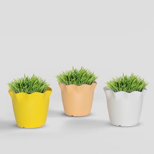 Image of YUCCABE ITALIA SHERA 4 Inch Plastic Flower Pot 3 Piece Set of Unbreakable Round Shape Planter for Home Garden Seedling, Indoor and Outdoor (Multicolor)