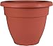 The HC Companies Caribbean Planter Pot - Outdoor & Indoor Plant Pot with Drainage Hole & Plug - Rolled Rim Plastic Pots for Plants & Flowers - Decorative Plant Pot (16" Clay, Pack of 1)