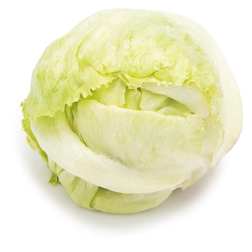 Fresh Iceberg, 1 Piece (Approx.250-500g)