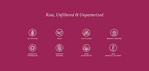 Image of Zoh Probiotics Berry Blast Kombucha|Green Tea With Living Probiotics,Detoxifying Acids&Digestive Enzymes. Raw,Unfiltered,And Unpasteurized With Mother. Made With Real Berries(330 Ml,Pack Of 12)