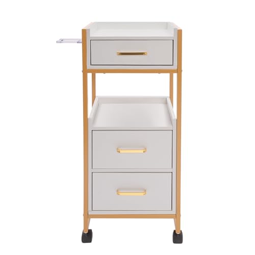 Salon Storage Trolley Cart with Wheels, Rolling Barber Station Mobile Salon Station with Hair Dryer Holder, Hairdressing Styling Tools Organizer for Spas Barber Stores