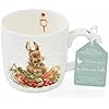 Royal Worcester Wrendale Design mug Rosie Rabbit Wrendale Designs mugs