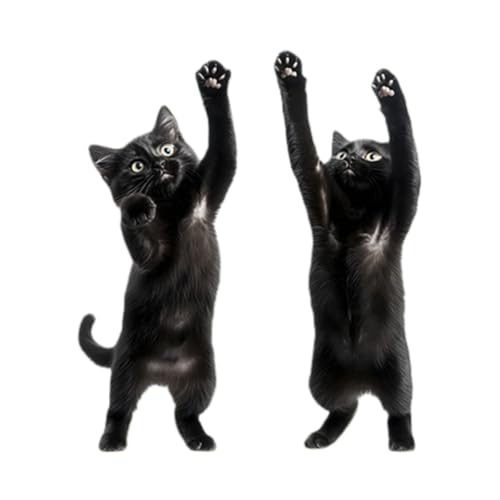 Vinilos decorativos de pared Achang con gatito negro 3D adorable