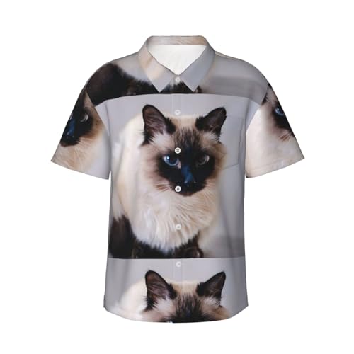 Gato Bali, Animal doméstico de Pelo,Camisa Hawaiana para Hombre, Informal, de Playa, de Manga Corta, de Verano, Ligera, para Adultos,XL