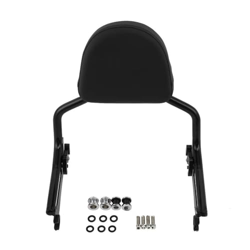 Dossier passager détachable pour R18 avec coussin ergonomique haute densité