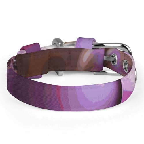 Collier réglable pour chien violet lavande chat petite moyenne taille
