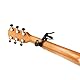 Planet Waves PW-CP-10 Capos NS Artist Kapodaster Geeignet für 6-saitige Akustik- und E-Gitarren Integrierter Plektrumhalter Aluminium schwarz