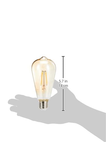 Image of wipro Garnet 6W ST64 LED Filament Bulb | Decorative LED Bulb for Home & Office Decoration | Energy Efficient Filament Bulb comes with In-Built Surge Protection | E27, 2700K(Warm White, Pack of 10)