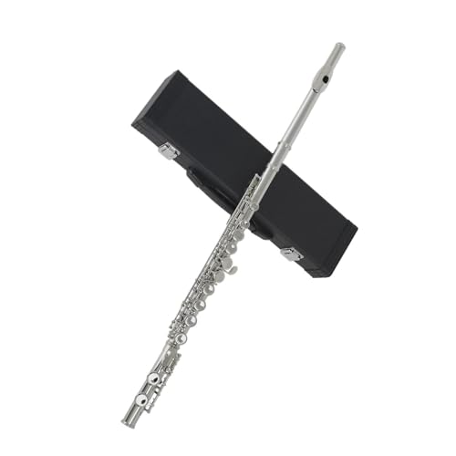 Jy C 16 N[Yhz[ I[vz[ {bNX N[jONX XeBbN ܕt Sҗpt[g