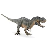 Pau1Hami1ton Big Dinosaur Toys for Kids 3-5, Realistic Toddler Dinosaur Toy Set, Educational Dinosaurs for Kids, Perfect for Learning, Imaginative Play, and Exciting Adventures!