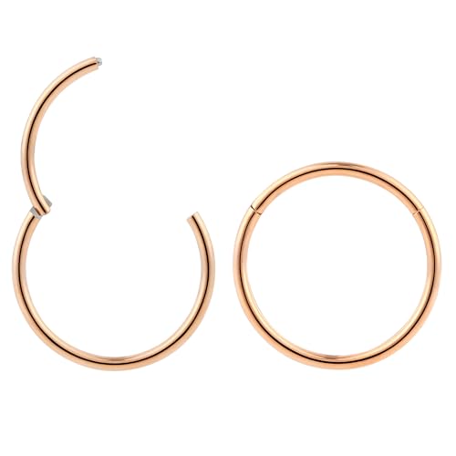 365 Sleepers (10mm 18G) 2PCS Titanium Implant Grade Septum Jewelry Hinged Segment Ring Body Piercing Hoop Lip Rings Helix Cartilage Rook Sleeper Earrings Nickel Free Hypoallergenic