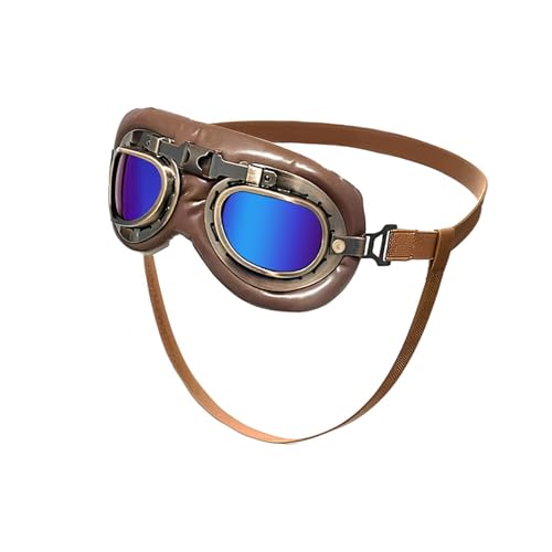 AeB[N̔IXNb`RPCی쌢̃TOXr[`nCLO͌ɉK