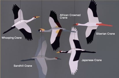 Combo de grúa móvil