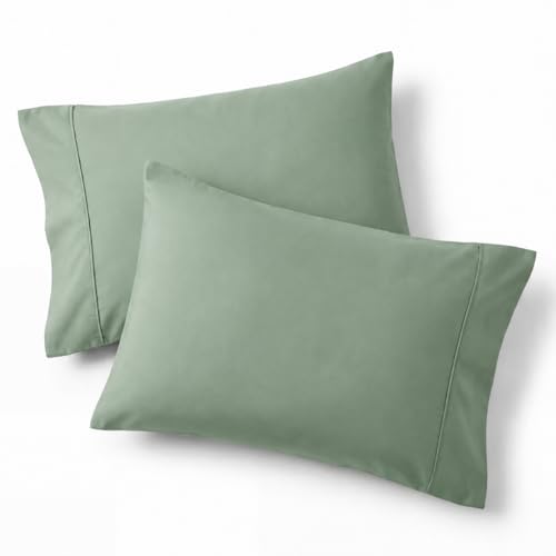 Bedsure Queen Pillow Cases Set of 2 - Sage Green Brushed Microfiber Pillowcase 2 Pack Super Soft and Cozy Pillow Case Covers with Envelope Closure for Kids Wrinkle Fade Resistant 20x30 Inches