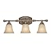 Capital Lighting 1333CS-287 Vanity with Mist Scavo Glass Shades, Creek Stone Finish