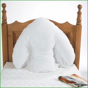 Accessory for Harley Batwing Pillow - Pillowcase