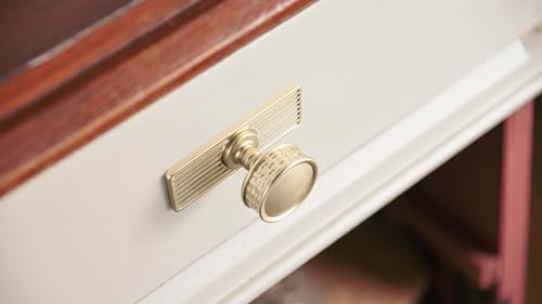 Goo-Ki 6 Pack Champagne Bronze Cabinet Knobs with Back/Base Plate Zinc Alloy Kitchen Hardware - Single Hole/Screw Bar Cabinet Pulls Handles Drawer Knob with Spacer