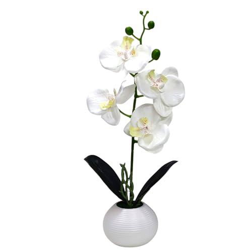 Image of CURATED CART Flower Pot with Artificial Flowers - Orchid White Flower with White Vase | Ideal for Home Decor | Office Decor | Gifting | Size 36 x 9cm