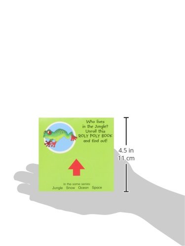 Jungle (Roly Poly Box Books)
