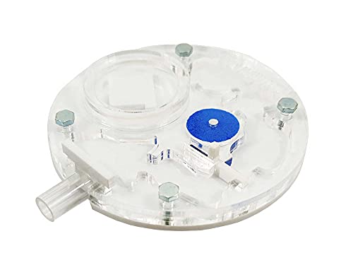 Anthillshop.es Hormiguero de Colores 10x10 Redondo (Hormigas Incluidas) (Blanco) Cover