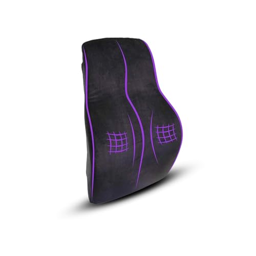Wakefit Memory Foam Back Support Cushion | Ergonomic Lumbar, Lower & Upper Back Support Pillow | Textured Mesh Fabric Cover | Office Chair & Car Seat 