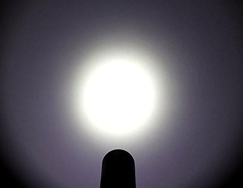 Terminator Stun Gun Ultra Powerful Flashlight Stun Gun With Bright Led Flashlight Heavy Duty Rechargeable #TOP5