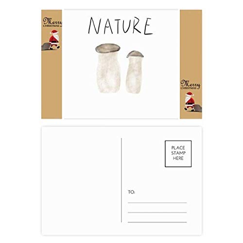 Cartes postales de remerciement champignon naturel pour correspondances élégantes en lot de 20