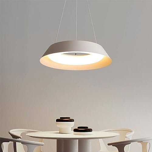 Lampe à suspension créative nordique pour réinventer l'ambiance du restaurant