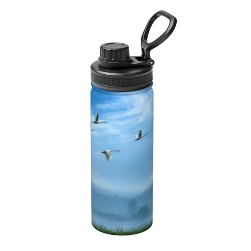 Botella de agua aislada de acero inoxidable 18 oz para deporte exterior 2