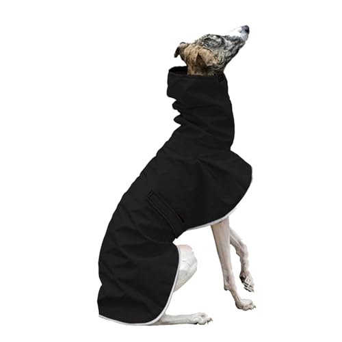 IUOUTG C^ÃOCnEh~̃WPbgAhgȃt[X^[glbÑEBbybgWPbgA^^̂߂̊VČ̃R[gEH[LOnCLO