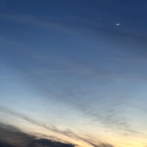 Image of 20260122 untitled