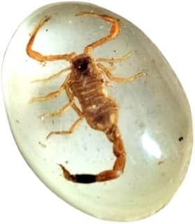 حجر العقيق الأخضر الناعم على شكل سكوربيون يعمل بالطاقة الشمسية، حجر كريم بيضاوي مزدوج الوجه مثقوب للخاتم أو الدلاية