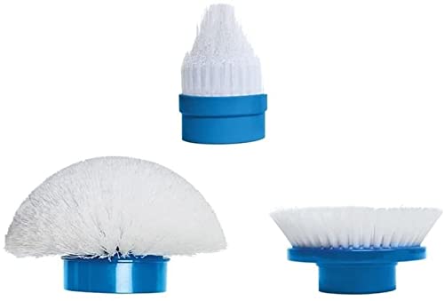 AntDau71 Replacement Brushes, White, Blue, UNIVERSALE