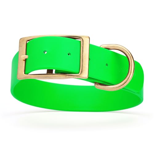Image of Viper Biothane Heavy Duty Waterproof Dog Collar Strong Coated Nylon Webbing w /Solid Brass Hardware Odor-Proof Easy to Clean High Performance Fits Small Medium or Large Dogs, Tropical Green
