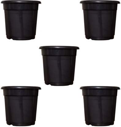 See full amazon price history chart for Black Plastic Seedlings Plants Nursery Pots Seed Starting Pots Seed Starting Pots 10 Pcs 6 inch Black Plastic Seedlings Plants Nursery Pots Seed Starting Pots Seed Starting Pots 10 Pcs 6 inch (B08Y1938ST) Amazon Price History, Amazon Price Tracker