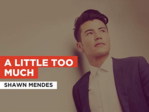  A Little Too Much nello stile di Shawn Mendes