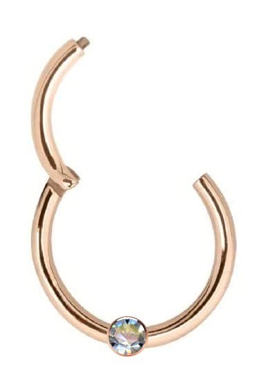 Generisch PIERCING CLICKER Segment-Ring Echt 585 Rosegold mit echtem Diamant Piercing Schmuck kaufen Intim Helix Septum Conch Tragus Durchmesser 10 mm 41002-10