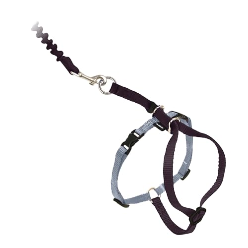 PetSafe Come with Me Kitty Geschirr und Bungee-Leine, Geschirr für Katzen, groß, Schwarz/Silber
