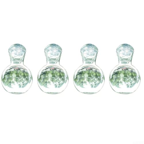 Rackumic Lot de 4 vases à bulbes avec ventouses et crochets pour suspension de fenêtre, station de propagation de plantes, pot de fleurs en polyéthylène...