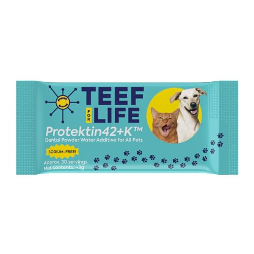 Refill Packet TEEF Protektin42K (Sodium-Free) Prebiotic Dental Powder, Plant-derived, clinically-Proven Formula Naturally Fights Bad Breath, Plaque, and Tartar, 1 Packet with 30 Servings