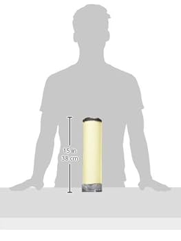 Amazon.com: WIX Filters - 42331 Heavy Duty Radial Seal Inner