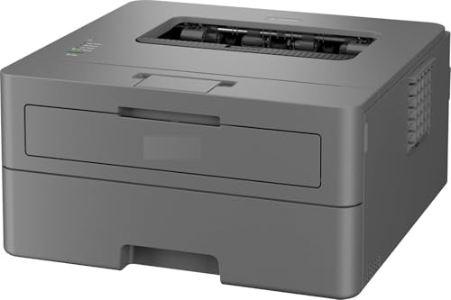 Image of B Printer HL-L2440DW (New Launch) Auto Duplex Monochrome Laser Printer,30 PPM Print Speed,LCD Display,64 MB Memory,(WiFi Direct LAN USB),250 Sheet Paper Tray,3000 Pages Inbox Toner