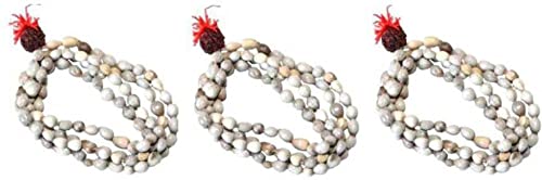 SHRI ASTHA VINAYAK Natural Vaijanti Mala Set Of 3 Mala Wood Chain (B09NTQBPTP) Amazon Price History, Amazon Price Tracker