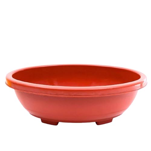 GREEN PARADISE Oval Bonsai Pots Premium Plastic Pot Durable & Long Lasting Pot Brown, 16 INCH (Pack of 5) (B0DGG6WF9M) Amazon Price History, Amazon Price Tracker
